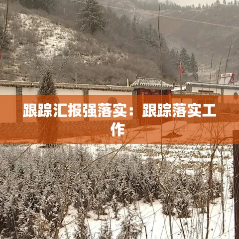跟踪汇报强落实：跟踪落实工作 