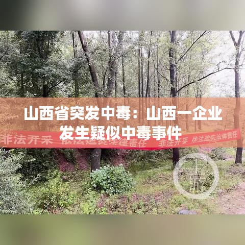金石为开 第2页