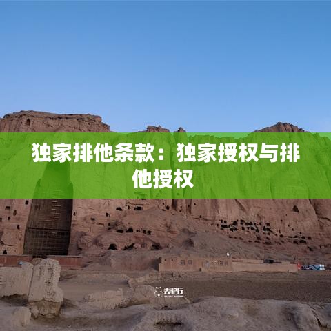 独家排他条款：独家授权与排他授权 