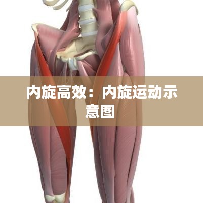 内旋高效：内旋运动示意图 