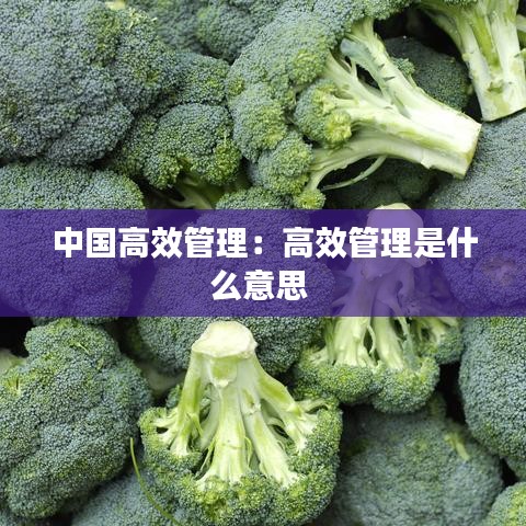 中国高效管理：高效管理是什么意思 