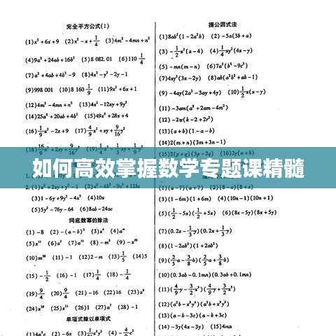 如何高效掌握数学专题课精髓