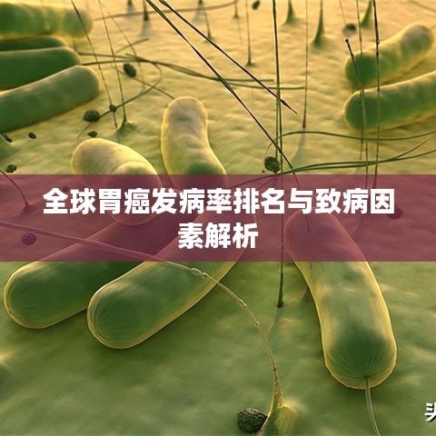 全球胃癌发病率排名与致病因素解析