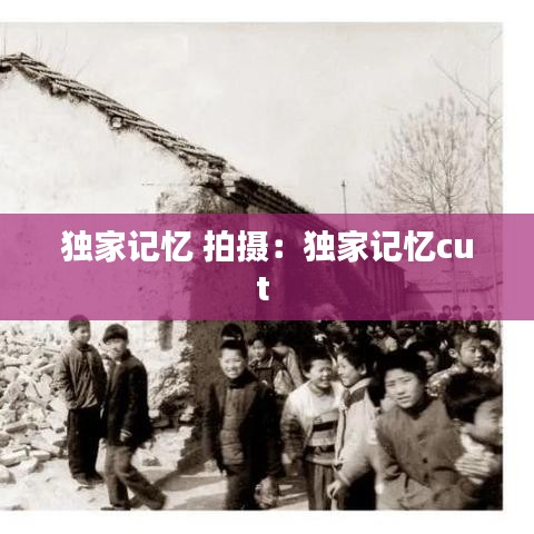独家记忆 拍摄：独家记忆cut 