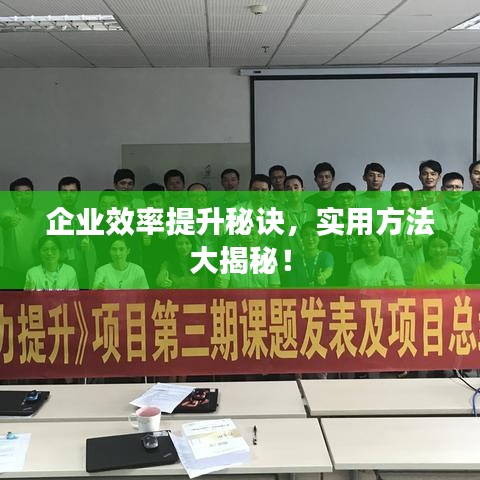 企业效率提升秘诀，实用方法大揭秘！