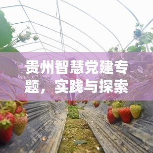 贵州智慧党建专题，实践与探索之旅