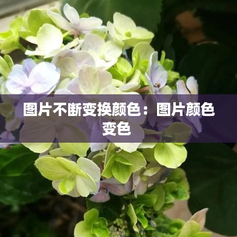 图片不断变换颜色：图片颜色变色 