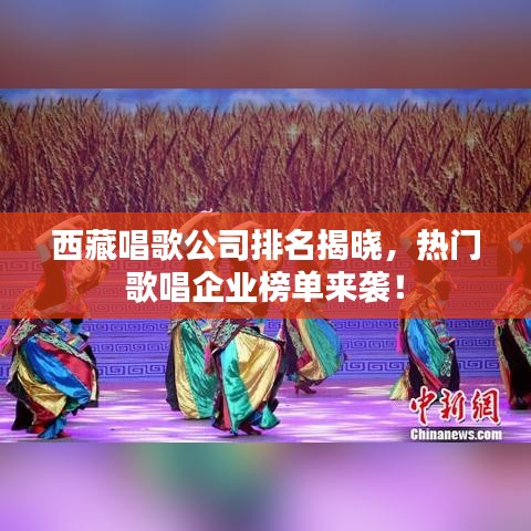 西藏唱歌公司排名揭晓，热门歌唱企业榜单来袭！