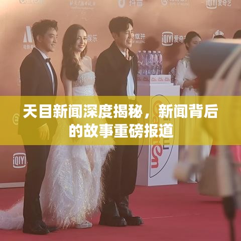 天目新闻深度揭秘，新闻背后的故事重磅报道