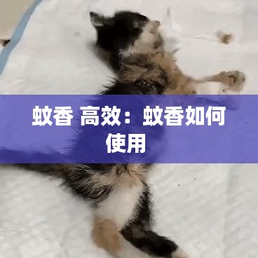 蚊香 高效：蚊香如何使用 
