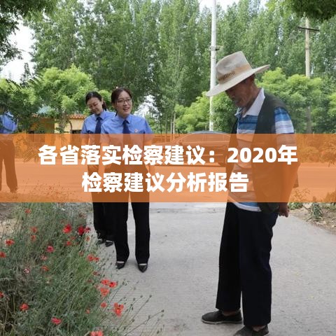 各省落实检察建议：2020年检察建议分析报告 