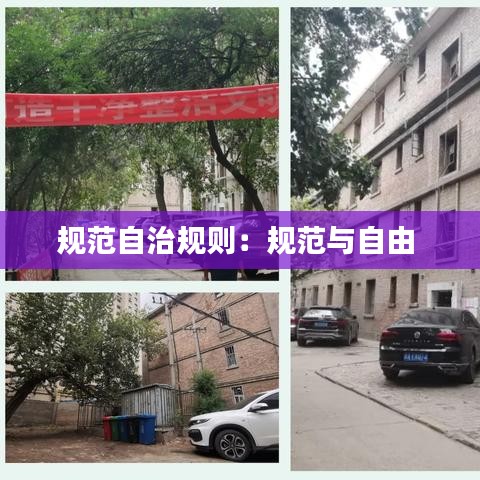 水浄鹅飞 第2页