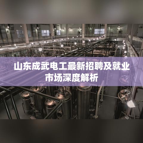 山东成武电工最新招聘及就业市场深度解析