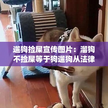 遛狗捡屎宣传图片：溜狗不捡屎等于狗遛狗从法律角度分析 
