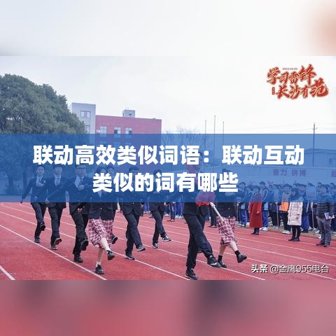 联动高效类似词语：联动互动类似的词有哪些 
