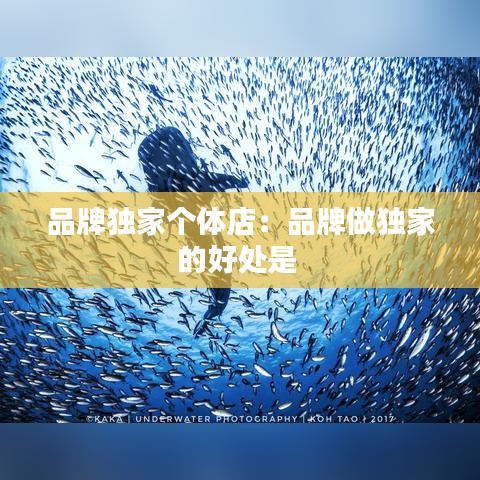 品牌独家个体店：品牌做独家的好处是 