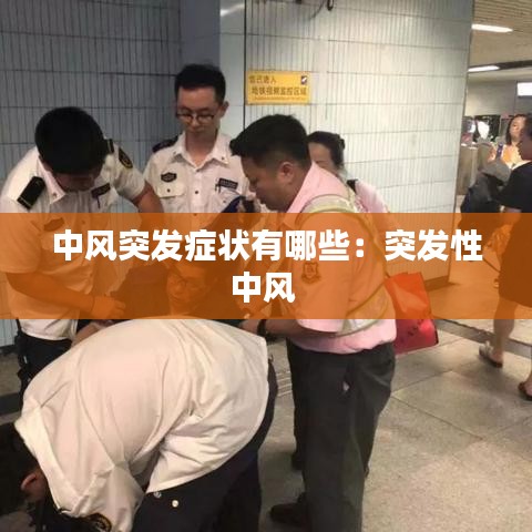贵人多忘事 第2页