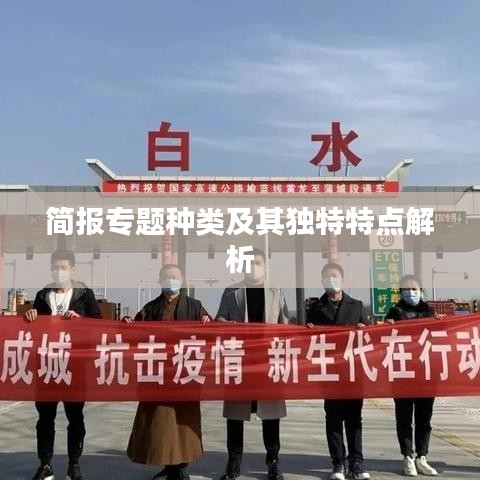 简报专题种类及其独特特点解析