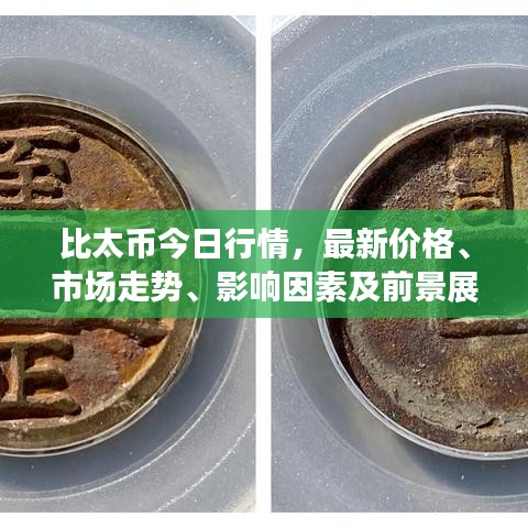 比太币今日行情，最新价格、市场走势、影响因素及前景展望