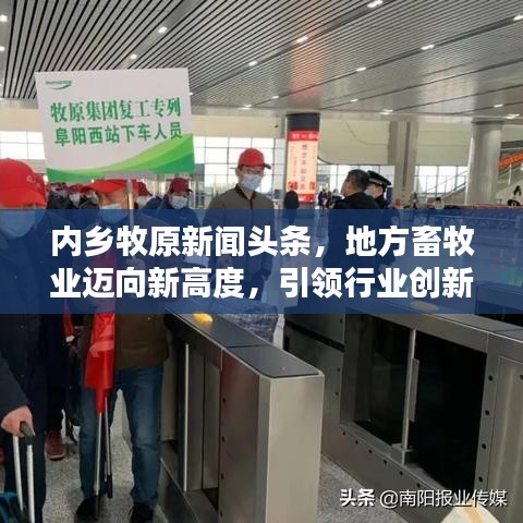 内乡牧原新闻头条，地方畜牧业迈向新高度，引领行业创新风潮