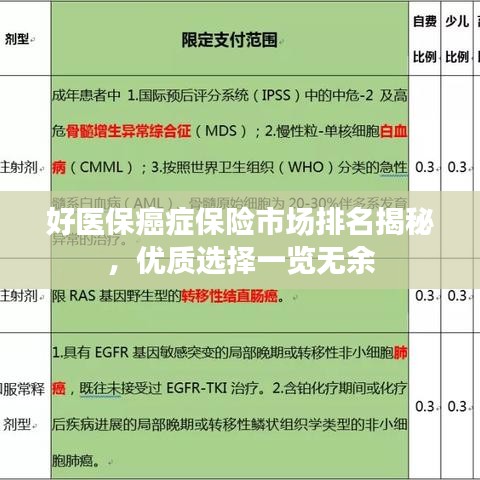 好医保癌症保险市场排名揭秘，优质选择一览无余