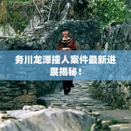 务川龙潭撞人案件最新进展揭秘！