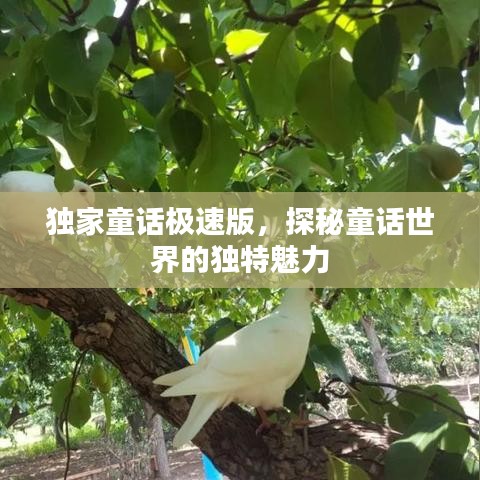 独家童话极速版，探秘童话世界的独特魅力
