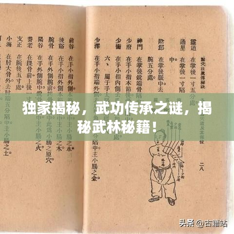 独家揭秘，武功传承之谜，揭秘武林秘籍！