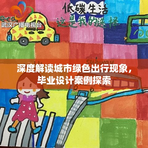 深度解读城市绿色出行现象，毕业设计案例探索