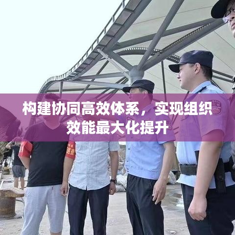 构建协同高效体系，实现组织效能最大化提升