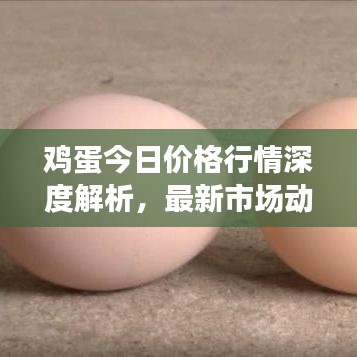 鸡蛋今日价格行情深度解析，最新市场动态一网打尽！