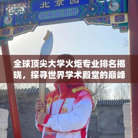 全球顶尖大学火炬专业排名揭晓，探寻世界学术殿堂的巅峰之选