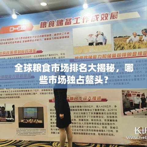 全球粮食市场排名大揭秘，哪些市场独占鳌头？