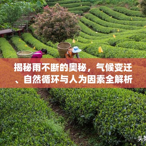 揭秘雨不断的奥秘，气候变迁、自然循环与人为因素全解析