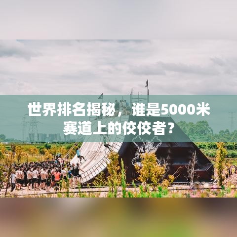 世界排名揭秘，谁是5000米赛道上的佼佼者？
