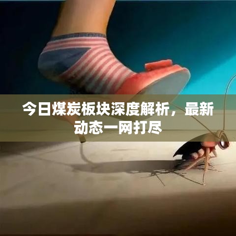 今日煤炭板块深度解析，最新动态一网打尽