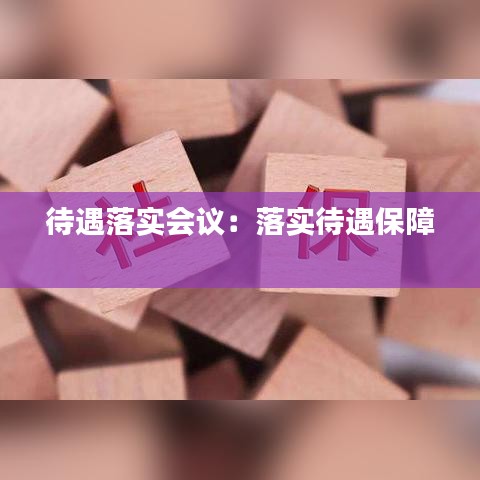 待遇落实会议：落实待遇保障 