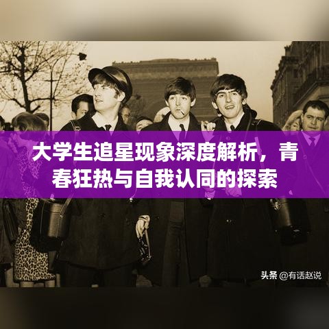 大学生追星现象深度解析，青春狂热与自我认同的探索