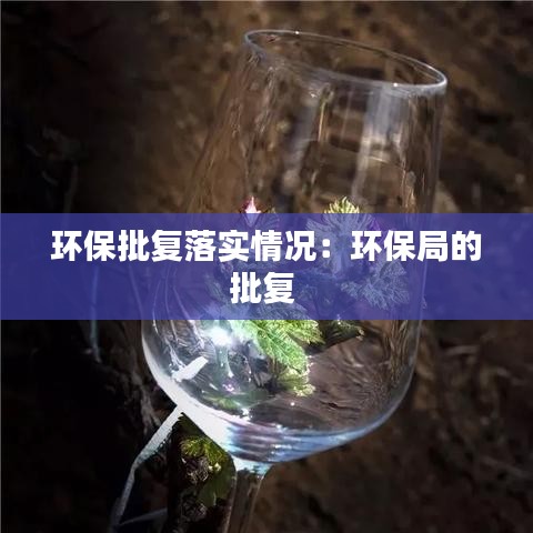 环保批复落实情况：环保局的批复 