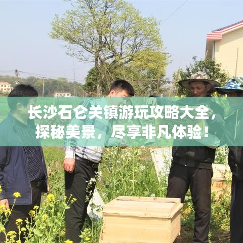 长沙石仑关镇游玩攻略大全，探秘美景，尽享非凡体验！