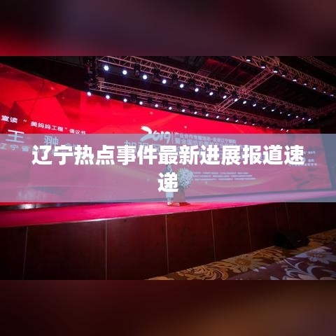 辽宁热点事件最新进展报道速递
