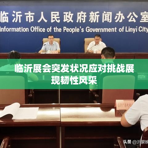 临沂展会突发状况应对挑战展现韧性风采