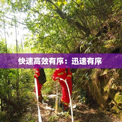 快速高效有序：迅速有序 