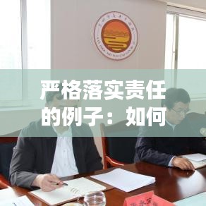 严格落实责任的例子：如何严格责任落实 