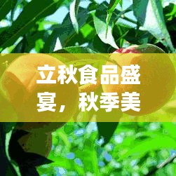 立秋食品盛宴，秋季美食与健康养生攻略