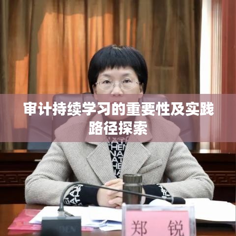 审计持续学习的重要性及实践路径探索