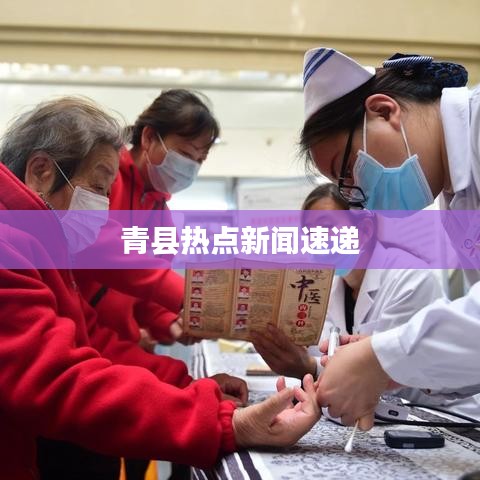 青县热点新闻速递