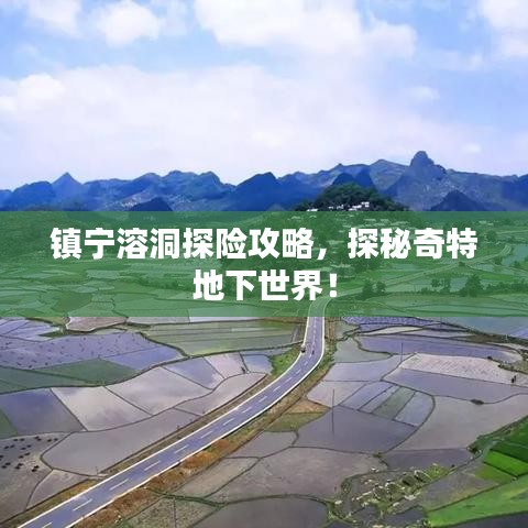 公司文化 第23页