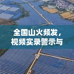 全国山火频发，视频实录警示与应对策略