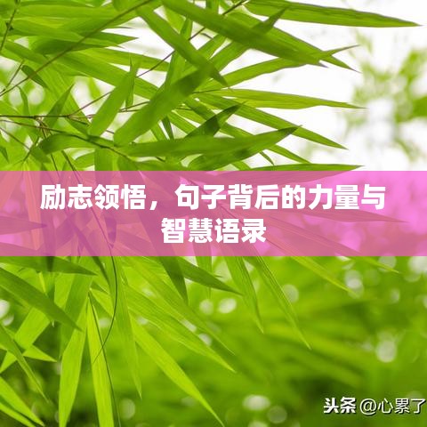 励志领悟，句子背后的力量与智慧语录